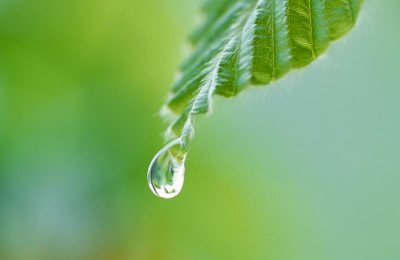 成年後見イメージ