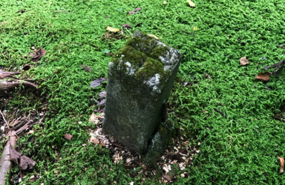 土地境界確定測量イメージ